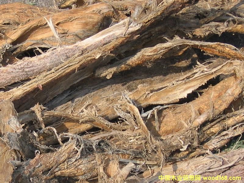 ��ľƤ��2����Ԕ����B