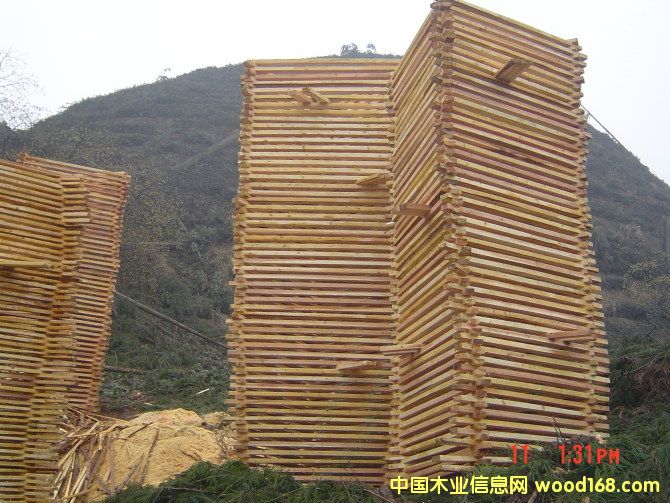 ��ɼ��Ԕ��(x��)��B