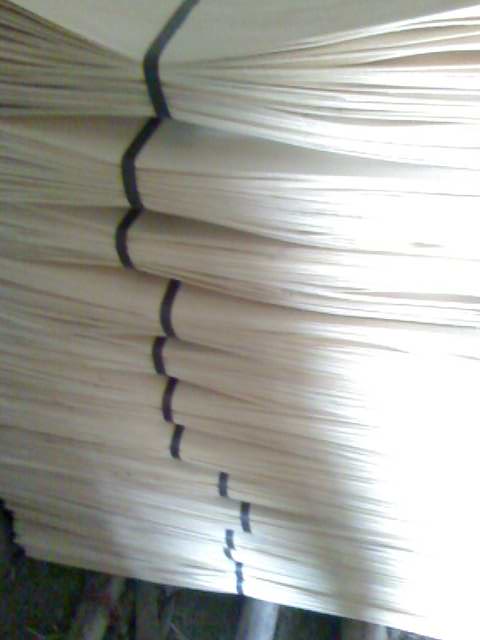 ��ľо���Ԕ����B