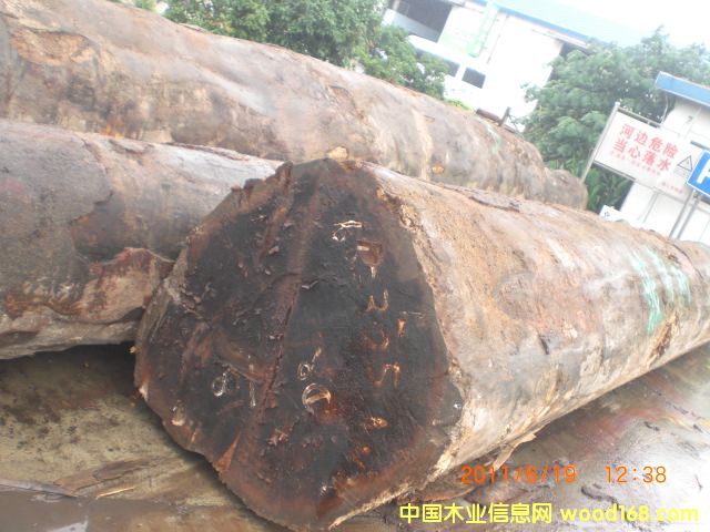 ���}���Ԕ��(x��)��B