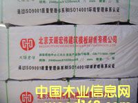 ���Ӱ��Ԕ����B