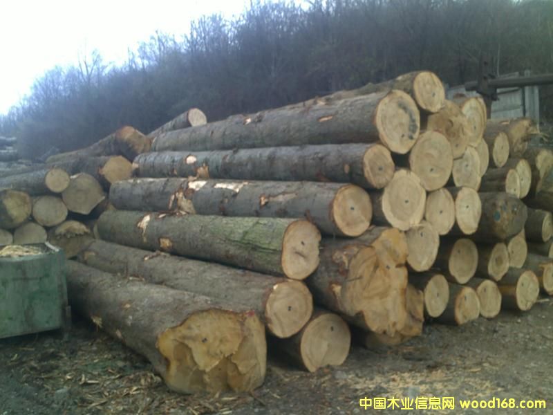 �_�R�၆��ɼԭľ��Ԕ��(x��)��B