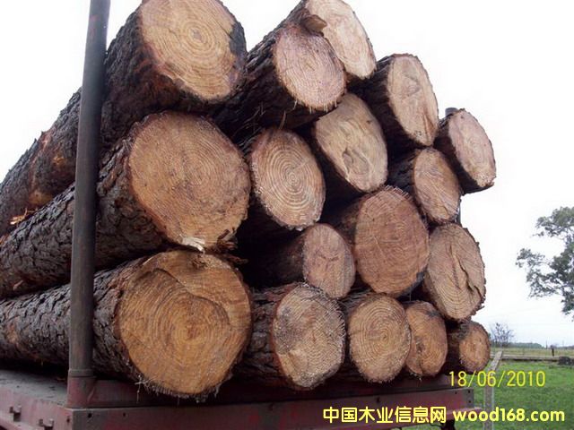 ����������ԭľ