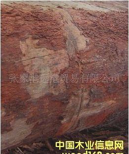 ����(y��ng)�Sţľ �tͩľԭľ ��� ľ�� GERO