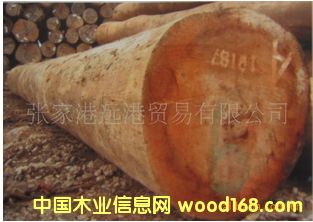 ������Ьľ �F�_(d��)ľԭľ ��� 