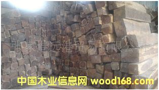 ����(y��ng)�����S̴ ��֦ ԭľ ���