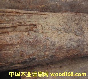 ���Ҹ��h(yu��n)��ľ�I(y��) ����(y��ng)������Ьľ �F�_(d��)ľԭľ ���