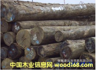 ����(y��ng)�㻨���?z��i)?�Nޱľԭľ ľ�� PL/PAR/PA