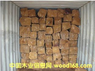 ����(y��ng)�����S���� ������ �����̴���� ԭľ