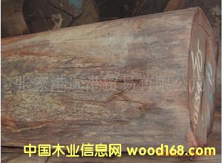 ����(y��ng)�����F��ľԭľ ��� ľ��