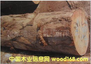 ����(y��ng)������ �ں��� ���º���ľԭľ ���WAL SMKU