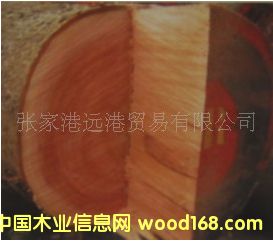 ���Ҹ��h(yu��n)��ľ�I(y��) ����(y��ng)����� �����һ���ԭľ ��� ľ��