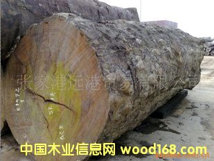  ����(y��ng)�������� �����Kľ �ͻ�ԭľ ���