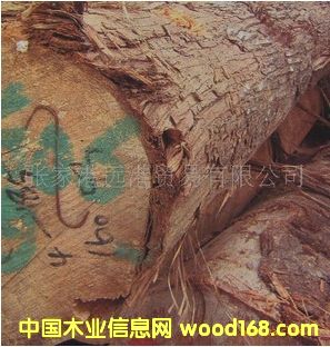 ����(y��ng)����ľ ����ľ ��ľԭľRAMN / GO / GON