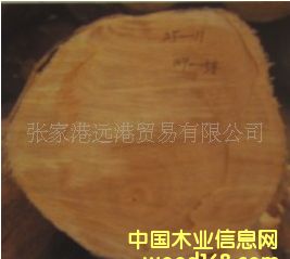 ����(y��ng)�����Kľ �����S�|��ԭľ ��� ľ��