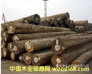 ����(y��ng)�ڰ�ľ �|�l(w��i)ìԭľ ��� ľ�� LOP / PERK