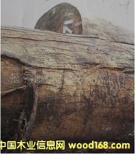 ����(y��ng)���_�� ľ���}ԭľ ľ�� KAP