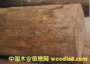 ���Ҹ��h(yu��n)��ľ�I(y��) ����(y��ng)ܛ�½� �W��?ji��n)��?��� ľ��