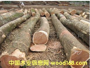 ����(y��ng)���t̴�㣩ԭľ �н�ӆ��