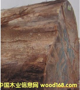 ����(y��ng)���O(p��ng)��ԭľ ��� ľ�� OWT