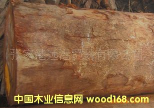 ����(y��ng)��Ħ��ԭľ ��� ľ��AM�� AMO / JELX