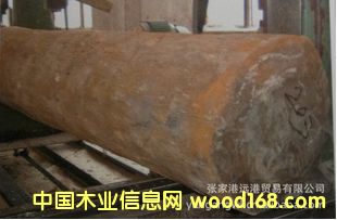 �R�_��˹���S����ľ