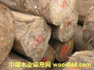 ����(y��ng)Ьľ �tõ��ԭľ ��� ľ��