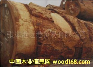 ���Ҹ��h(yu��n)��ľ�I(y��) ����(y��ng)����޼h ��ɳ����ԭľ ��� ľ��