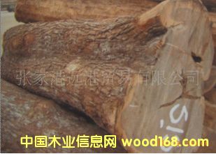 ����(y��ng)�L(f��ng)܇ľ Ƥ�� ����̴ԭľ ���