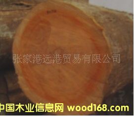 ���Ҹ��h(yu��n)��ľ�I(y��) ����(y��ng)����� ��� ���zԭľ ��� ľ��