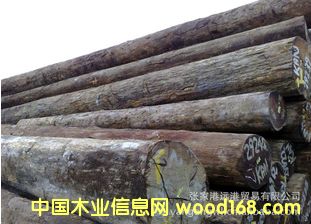 ����(y��ng)���^��ԭľ ���ľ�ģ�GOR / SCH��