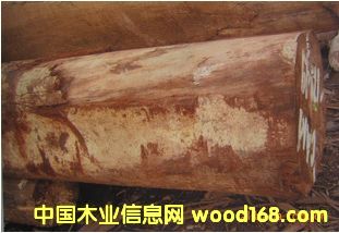 ����(y��ng)���Z�� ӡ����ԭľ ��� CAM cp/cm