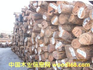 ���Ҹ��h(yu��n)��ľ�I(y��) ����(y��ng)С�~�t̴ �t�Fľ��ԭľ ���