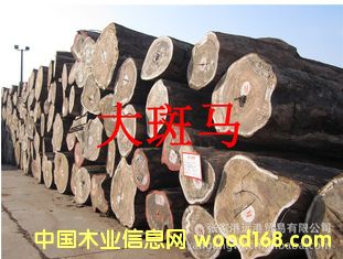 СЬľ�� ����R ����ľԭľ ���