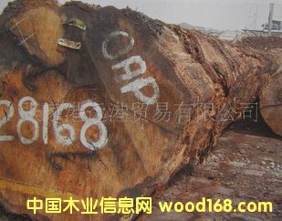 ����(y��ng)�u���� ������ľԭľ ľ�� BERA / OAP