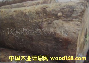 �����Kľ �ͻ� �t�F��ԭľ ���