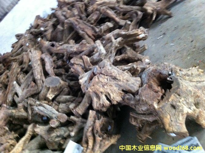 ����֦���^��Ԕ��(x��)��B