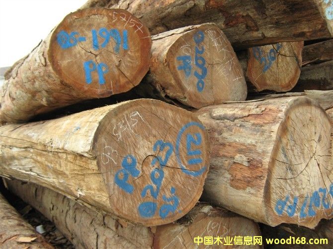 ��ľ��Ԕ��(x��)��B