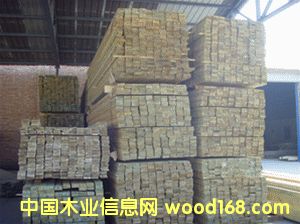 ����ľ���Ҏ(gu��)���Rȫ����Ԕ��(x��)��B