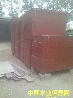 ľ�z���Ԕ��(x��)��B