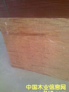 �Ӱ��Ԕ��(x��)��B