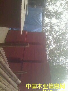 ľ�z���Ԕ��(x��)��B