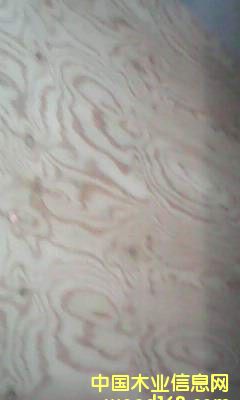 ��ľ��ĵ�Ԕ��(x��)��B