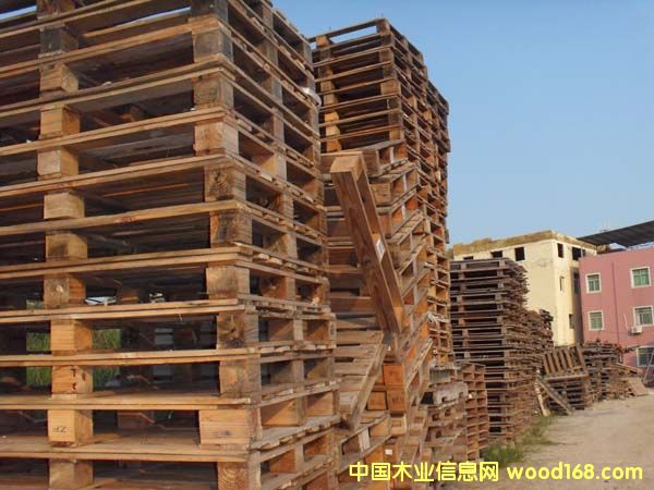 �B�T����ľ�бP��Ԕ��(x��)��B