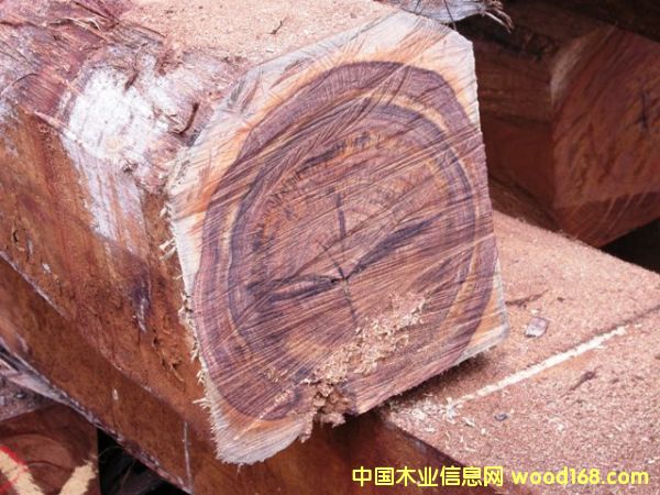 絨毛黃檀(南美黃檀)-Dalbergia Frutescens