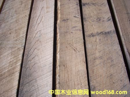 �����t���Ԕ��(x��)��B