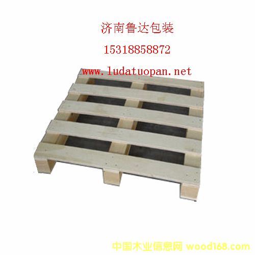 �z�ϰ��бP(p��n)1003��Ԕ��(x��)��B