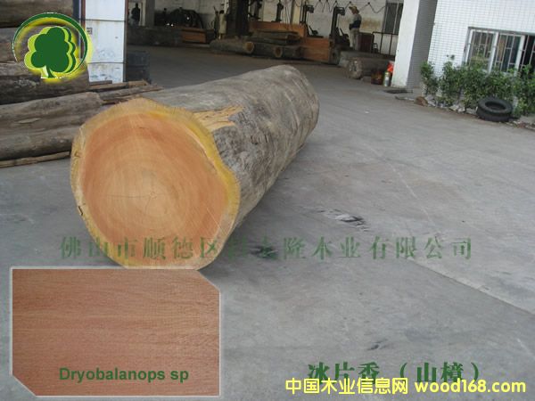 ӆ����(y��u)�|(zh��)ɽ�� ɽ������r(ji��)��13690415561��Ԕ��(x��)��B