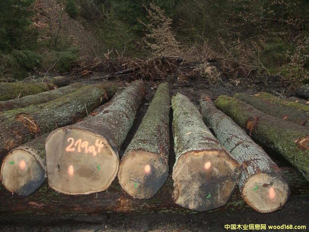 ��(gu��)����ԭľ��Ԕ��(x��)��B