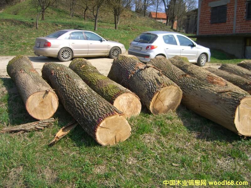 �����r(sh��)����ԭľ��Ԕ��(x��)��B